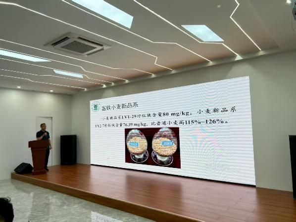 yl6809永利皇宫